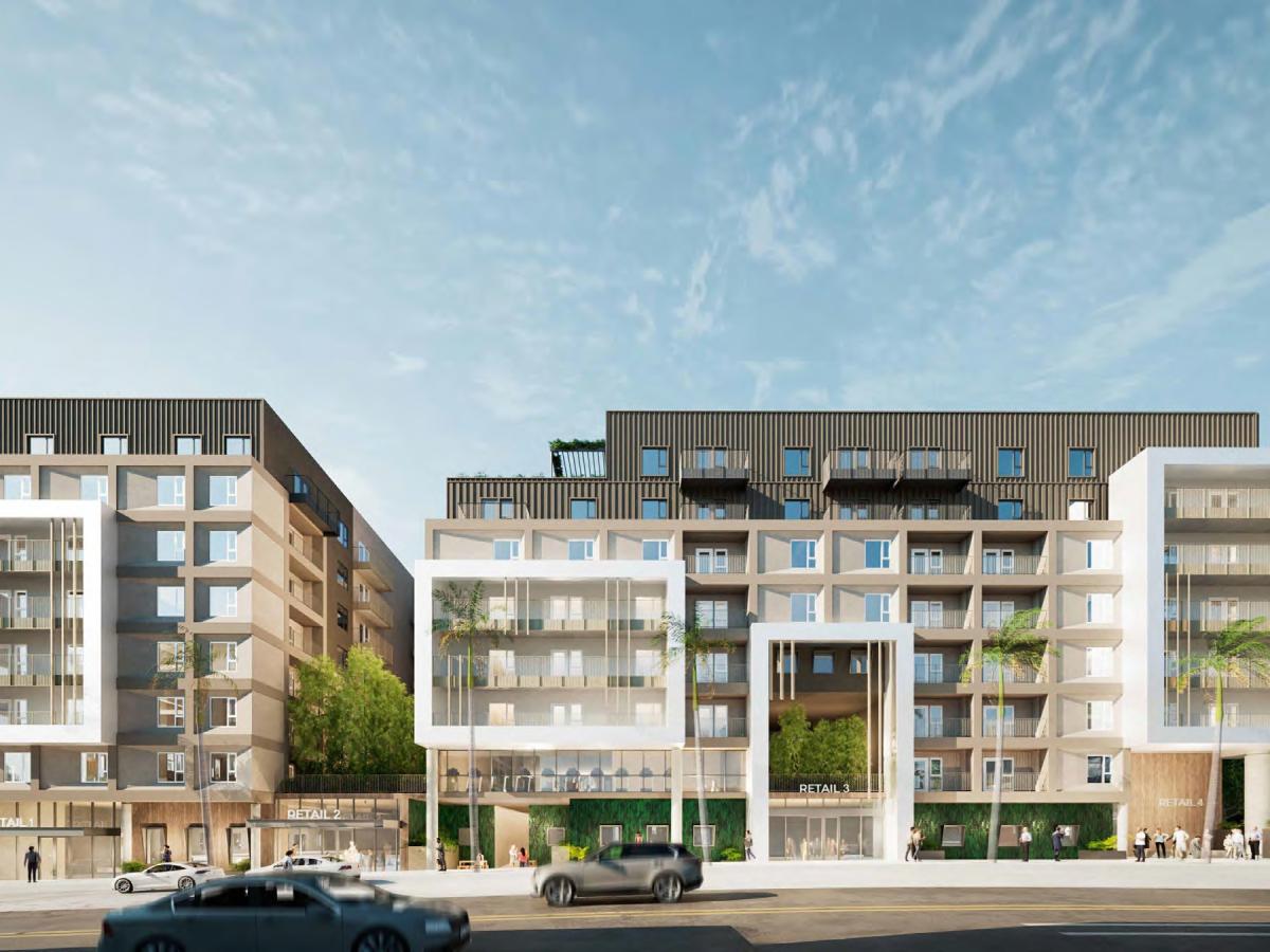 ヒル　hill SUGARHILL 25aw 